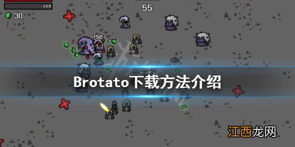 Brotato哪里下载-Brotato下载方法介绍