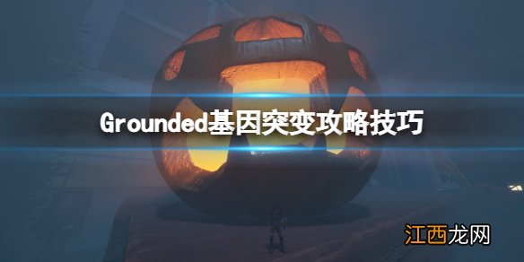 Grounded基因突变攻略技巧-禁闭求生基因突变怎么获得