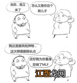 slf和mlf有什么区别?