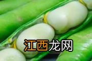 蚕豆的副作用 吃蚕豆对身体有什么好处