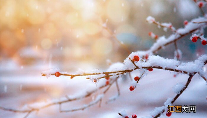 植物拥有吸收雪水的能力吗为什么 植物拥有吸收雪水的能力吗