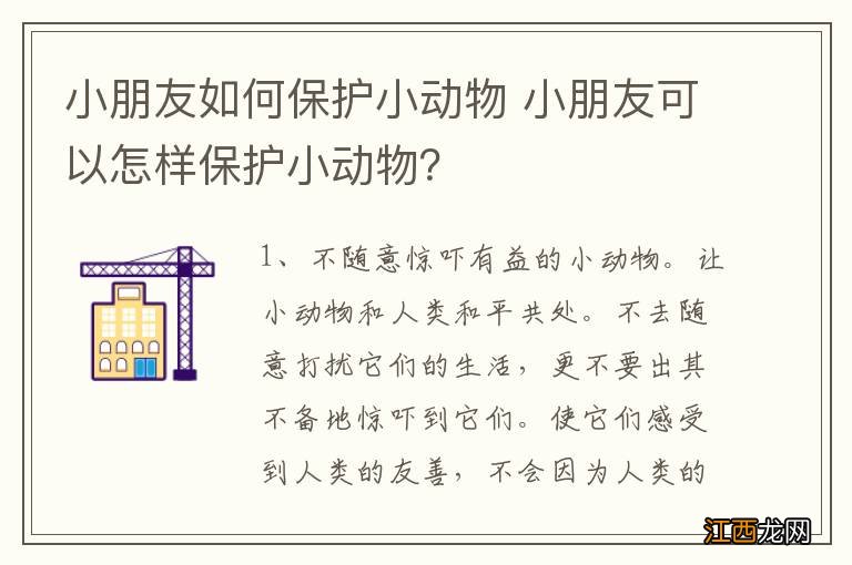 小朋友如何保护小动物 小朋友可以怎样保护小动物？