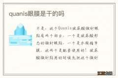 quanis眼膜是干的吗