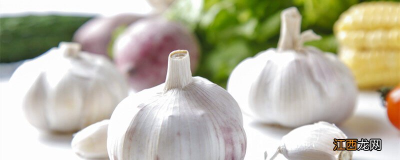 十一月份还能种大蒜吗大蒜能浇水便吗 十一月份还能种大蒜吗