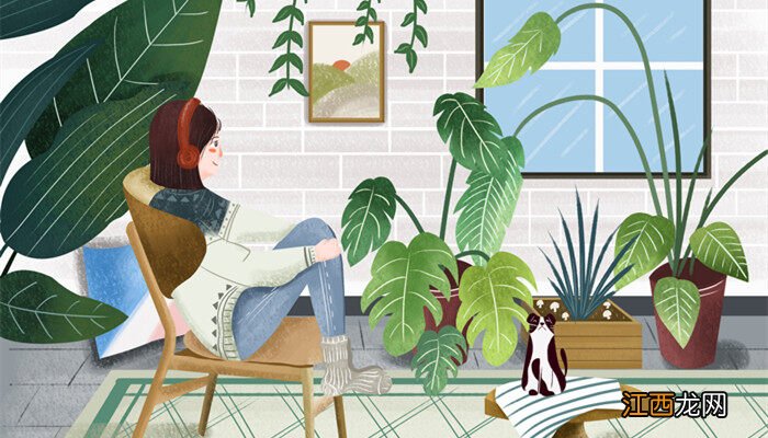 长草娃娃能养多久 长草娃娃能养多久