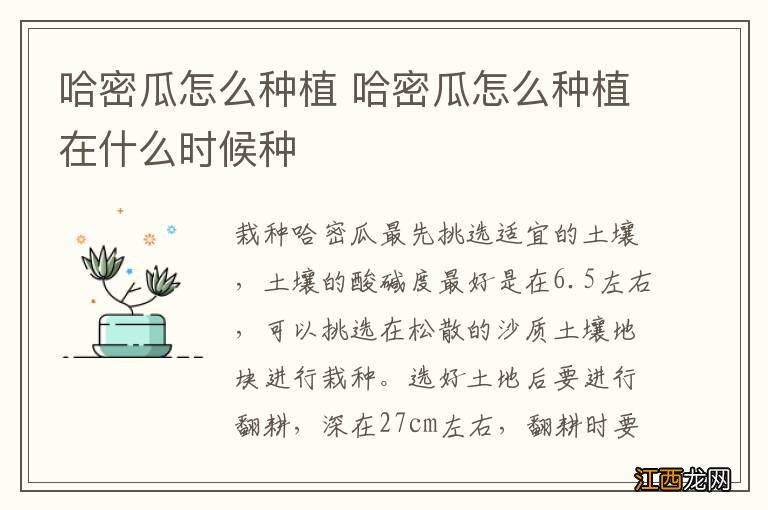 哈密瓜怎么种植 哈密瓜怎么种植在什么时候种