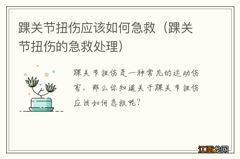 踝关节扭伤的急救处理 踝关节扭伤应该如何急救