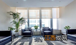 什么花放家里旺财旺人,家里什么位置摆花旺财