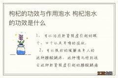 枸杞的功效与作用泡水 枸杞泡水的功效是什么