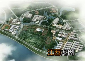 广州大学城内各大学分别占地多少