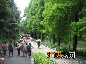 广州什么地方适合大学生秋游