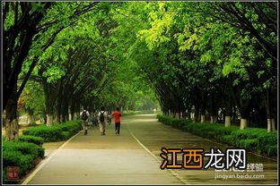 广州什么地方适合大学生秋游