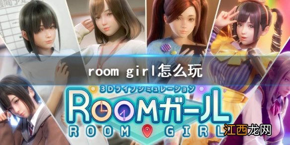 room girl怎么玩-roomgirl攻略教程大全 购买