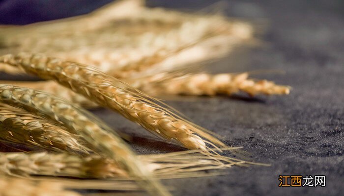 小麦底肥复合肥每亩需要多少公斤