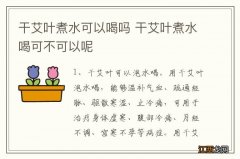 干艾叶煮水可以喝吗 干艾叶煮水喝可不可以呢