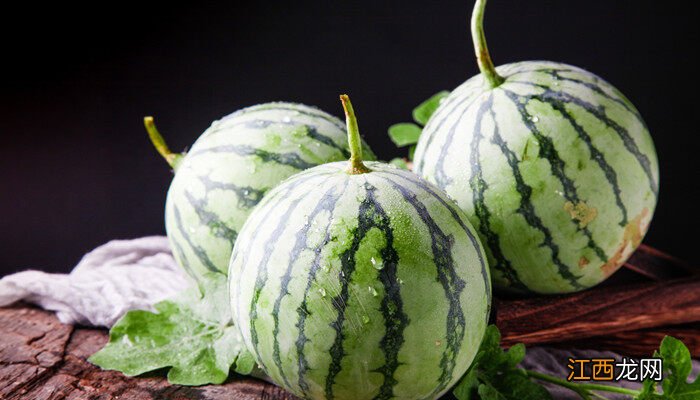 西瓜的生长过程简单介绍一句话 西瓜的生长过程简单介绍