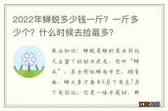 2022年蝉蜕多少钱一斤？一斤多少个？什么时候去捡最多？