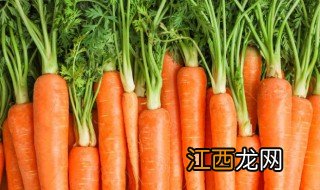 晚上吃萝卜能减肥吗 胡萝卜晚上吃有没有减肥的效果