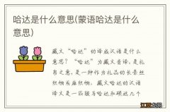 蒙语哈达是什么意思 哈达是什么意思