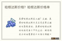 哈根达斯价格？哈根达斯价格单