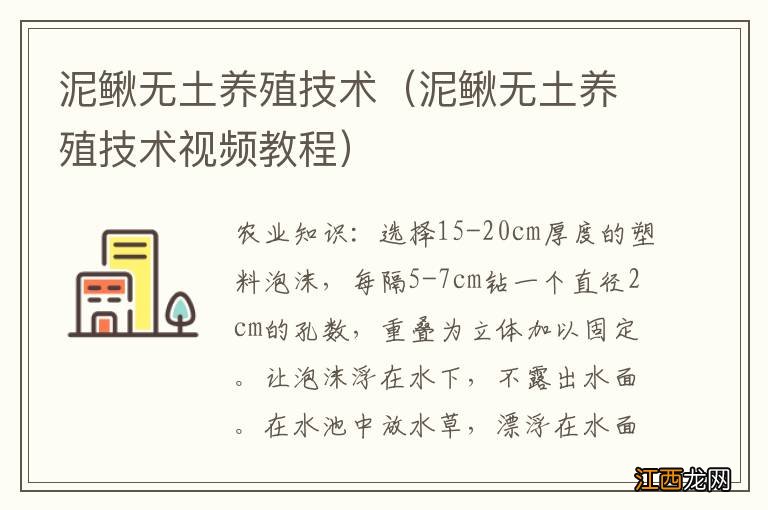 泥鳅无土养殖技术视频教程 泥鳅无土养殖技术