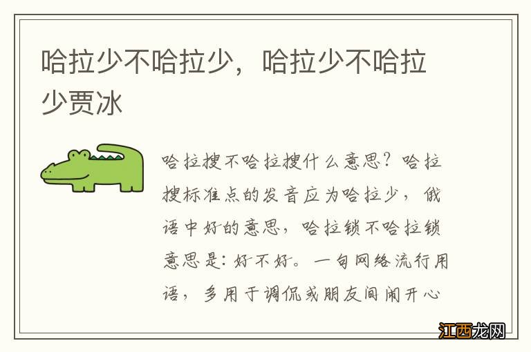 哈拉少不哈拉少,哈拉少不哈拉少贾冰