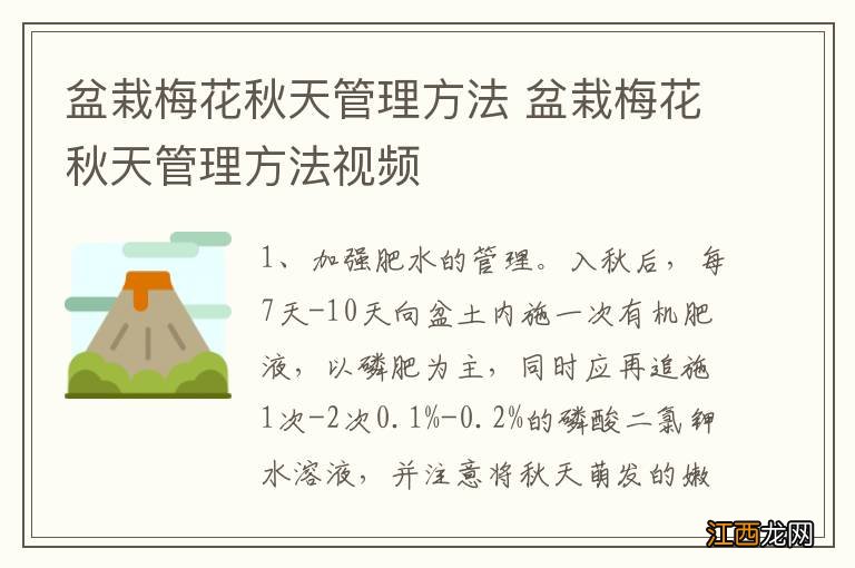 盆栽梅花秋天管理方法 盆栽梅花秋天管理方法视频