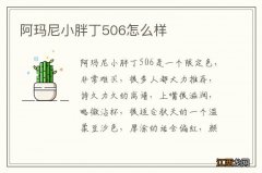 阿玛尼小胖丁506怎么样