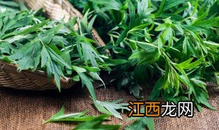 艾草是煮好还是开水泡好 艾草使用方法及功效