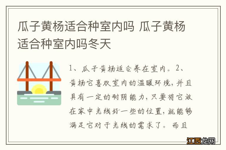 瓜子黄杨适合种室内吗 瓜子黄杨适合种室内吗冬天