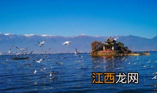 大理几月份适合旅游 大理什么月份适合旅游