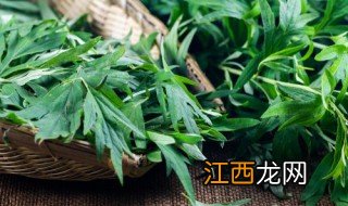 艾草敷眼睛很辣怎么回事 艾草敷眼睛会过敏吗？