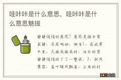 哇咔咔是什么意思，哇咔咔是什么意思魅拔