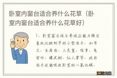 卧室内窗台适合养什么花草好 卧室内窗台适合养什么花草