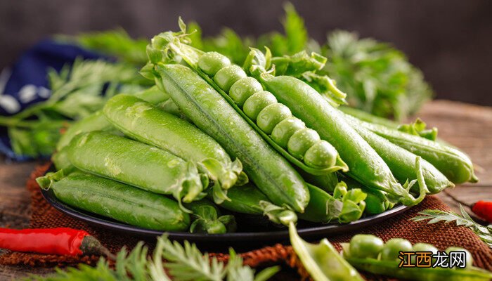 兰豆苗的种植方法和时间 兰豆的种植方法和时间