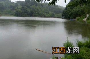 贵阳哪里有钓鱼地方的好地方