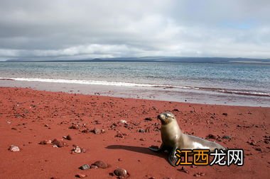 海南哪里的海滩可以拣贝壳