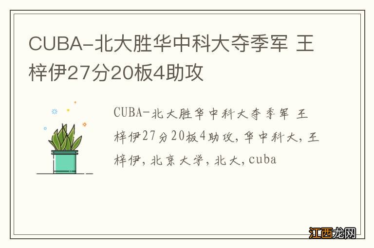 CUBA-北大胜华中科大夺季军 王梓伊27分20板4助攻