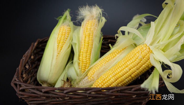 10个最好玉米品种 农大372和登海605哪个产量高