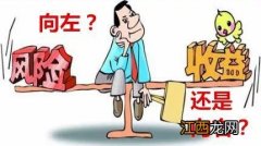 理财帮你投是保本保息的吗？