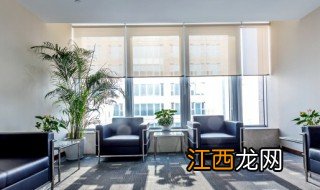 客厅适合养什么木家具 客厅适合养什么木