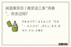 闲逛南京⑥ | 南京这三条“诗巷”，你去过吗？