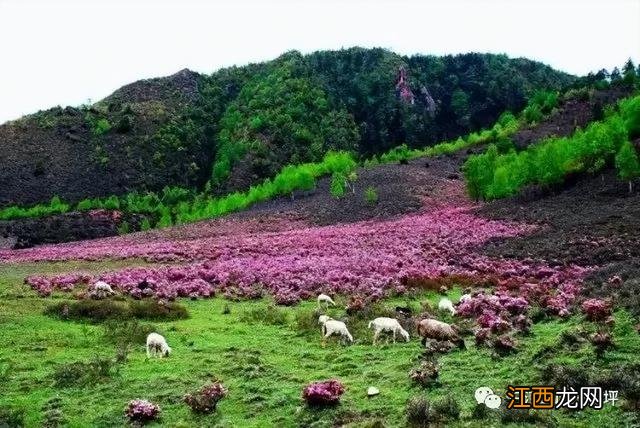 云南最冷门的宝藏旅行地，人少景美，藏着无数惊喜