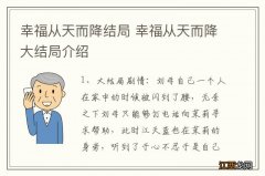 幸福从天而降结局 幸福从天而降大结局介绍