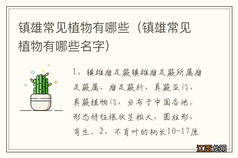 镇雄常见植物有哪些名字 镇雄常见植物有哪些