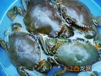 海参和鸭蛋能一起煮吗