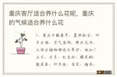 重庆客厅适合养什么花呢，重庆的气候适合养什么花