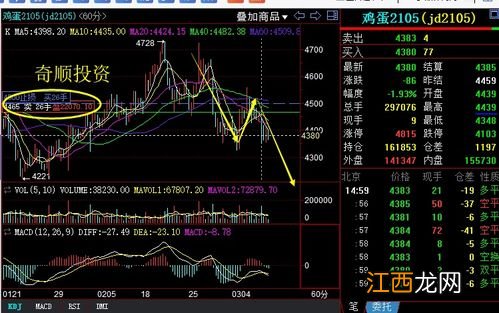 鸡蛋期货怎么看行情？