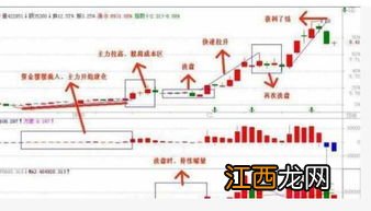 建仓和买入有什么区别？