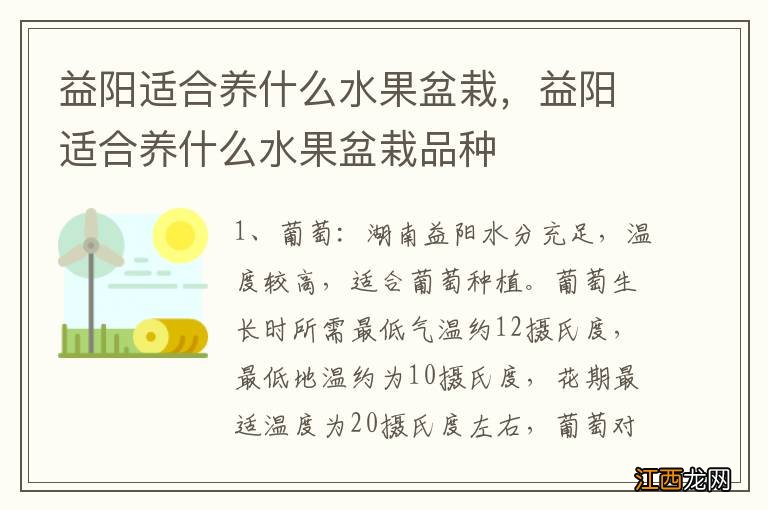 益阳适合养什么水果盆栽，益阳适合养什么水果盆栽品种